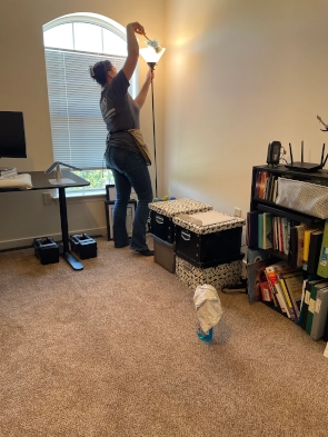 50-Point Home Cleaning