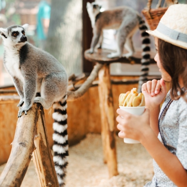 Palmyra, PA has lots to offer, visit their zoo as we take care of your house cleaning needs